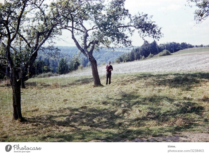 tree of knowledge Fruit Apple Masculine Man Adults 1 Human being Environment Nature Landscape Horizon Beautiful weather Tree Fruit trees Apple tree Meadow Hill