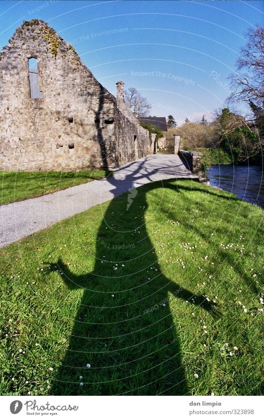 brrrrrr...knarz... Tree Monster Nature Large Colour photo Environment Exterior shot Green fab Plant Beautiful weather Ruin Cong.Co Mayo Ireland Park