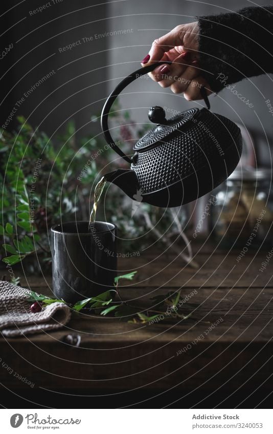 Woman pouring green tea in mug on wooden table with green herb chamomile teapot cup hot healthy fresh hot drink traditional boiling culture ceremony breakfast