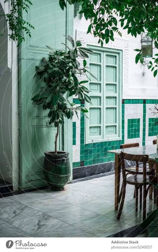 Exterior of green Arabic cafe pot tree table chair exterior street marrakesh morocco plant growth restaurant vegetation leaf decor window town city nobody