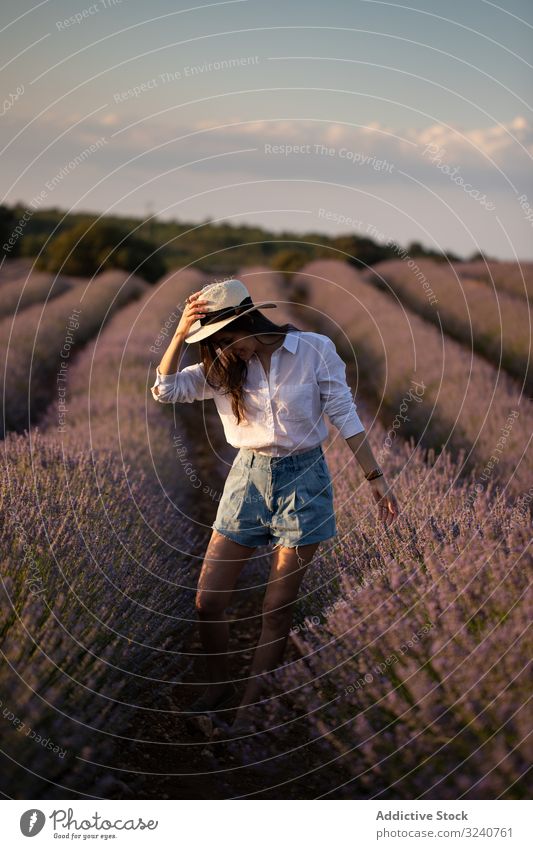 Woman walking in lavender field woman summer nature bush flower stylish casual female slim hat daytime flora plant growth vegetation relax rest lady trendy