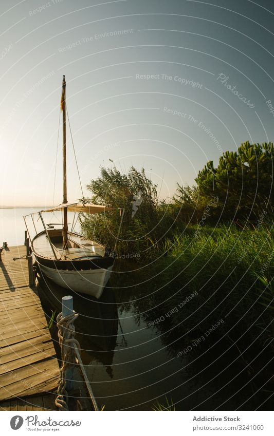 Moored boat by wooden pier moored rural wharf vessel green leafy bush lagoon valencia sea river tied harbor travel dock summer nautical water coast sailboat