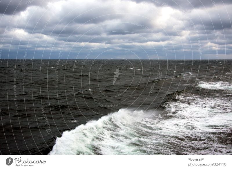 At sea Water Ocean Horizon Sky Clouds White crest Waves Wind Trip Far-off places ship boat Ferry On board Navigation Deck Cruise fresh air vacation travel