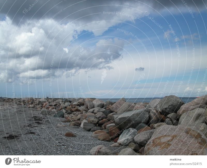 stony beach Ocean Clouds Bird Beach Stone Blue Sky