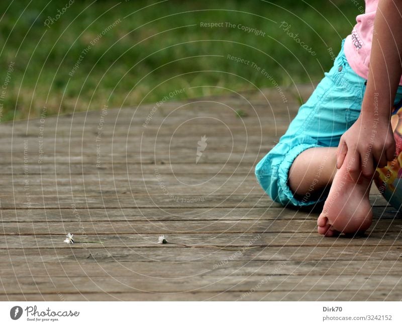 Danish summer - detail of a child on a wooden terrace with daisies ... Vacation & Travel Tourism Summer Summer vacation Living or residing Flat (apartment)