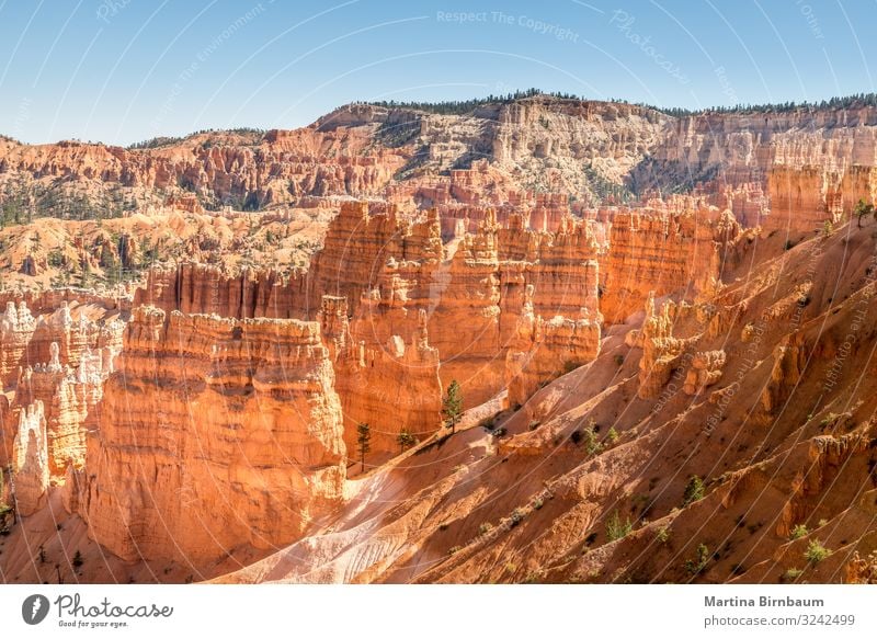 Majestic hoodoos in the Bryce Canyon, Utah Vacation & Travel Mountain Nature Landscape Sky Park Rock Monument Stone Gold Red Serene Amphitheatre national bryce