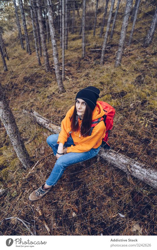 Female hiker sitting on fallen tree in autumn forest balance log woman woods relaxing stretched arms relaxed evergreen young adult grass greenery nature travel