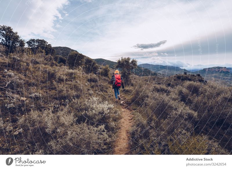 Hiker with backpack walking along pathway in autumn forest hiker person road dried leafless tree fall bare cloudy nature hiking travel adventure vacation