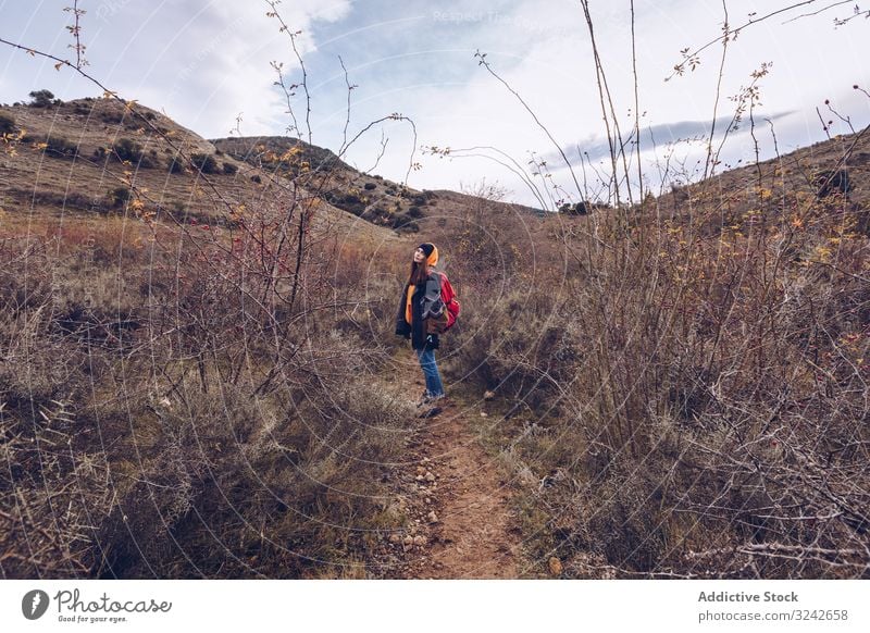 Hiker with backpack walking along pathway in autumn forest hiker person road dried leafless tree fall bare cloudy nature hiking travel adventure vacation