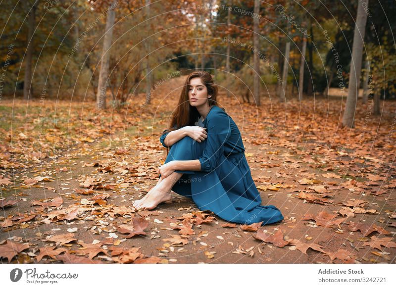 Melancholic woman sitting in orange autumn park alley melancholy nature vulnerable alone graceful embracing knees sensual solitude fall beautiful sad charming