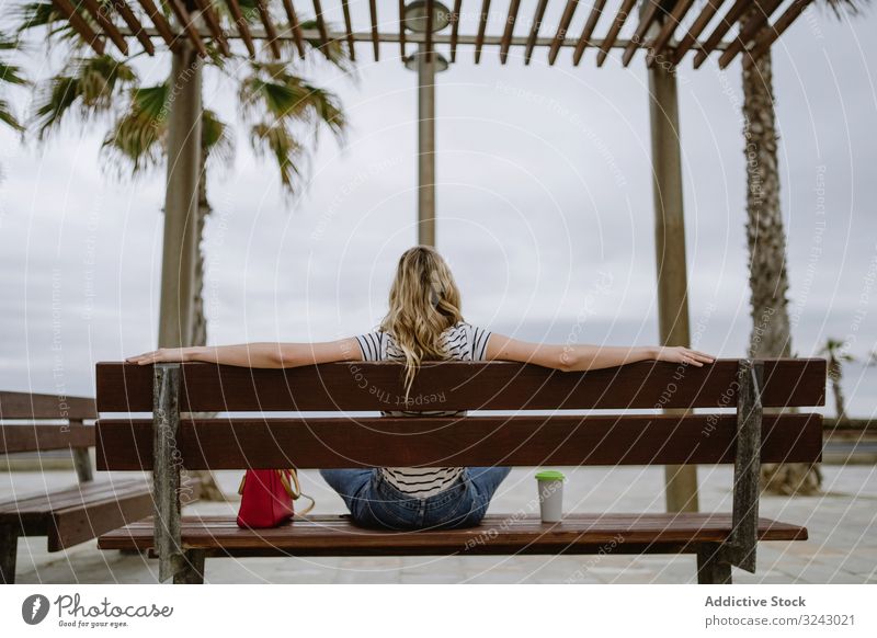 Anonymous woman with disposable cup of coffee sitting on street bench anonymous city seafront casual rest young female beautiful drink leisure attractive modern