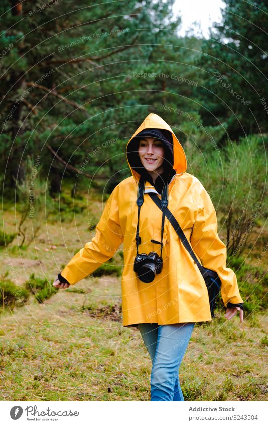 Person in hood and yellow raincoat walking i forest person nature wet park casual weather waterproof pine forest botanical tree hidden active vacation woods