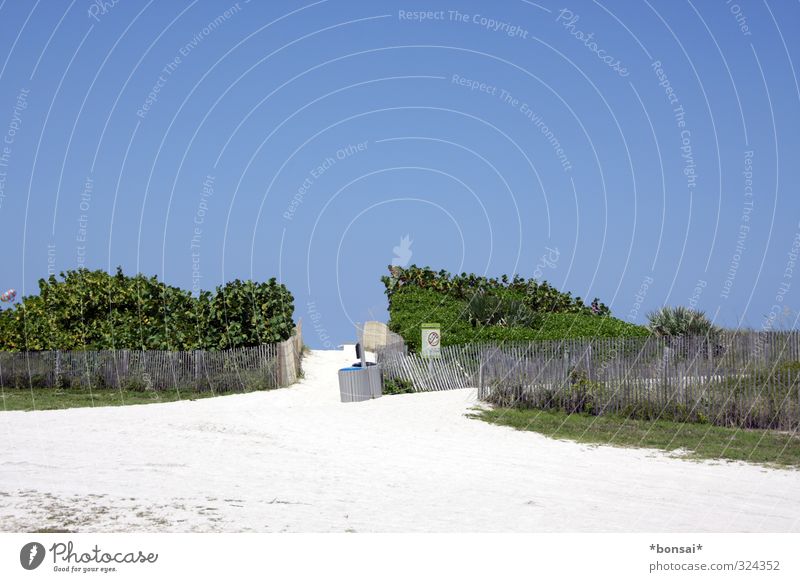 off through the hedge Landscape Sand Cloudless sky Summer Beautiful weather Bushes Hill Beach Lanes & trails Fence Relaxation Growth Bright Natural Warmth