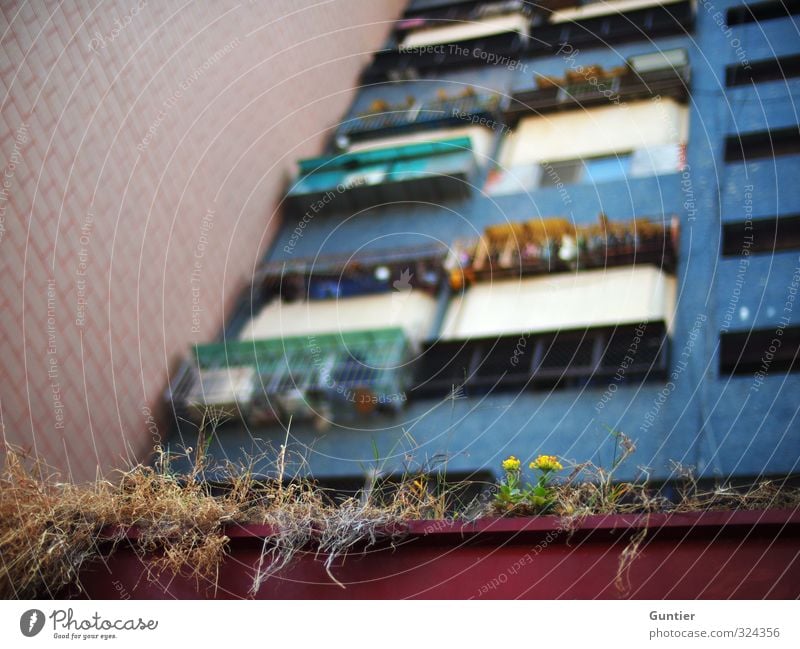 future Taiwan Asia Town Port City Outskirts Overpopulated Deserted House (Residential Structure) High-rise Blue Brown Yellow Green Red Black Balcony