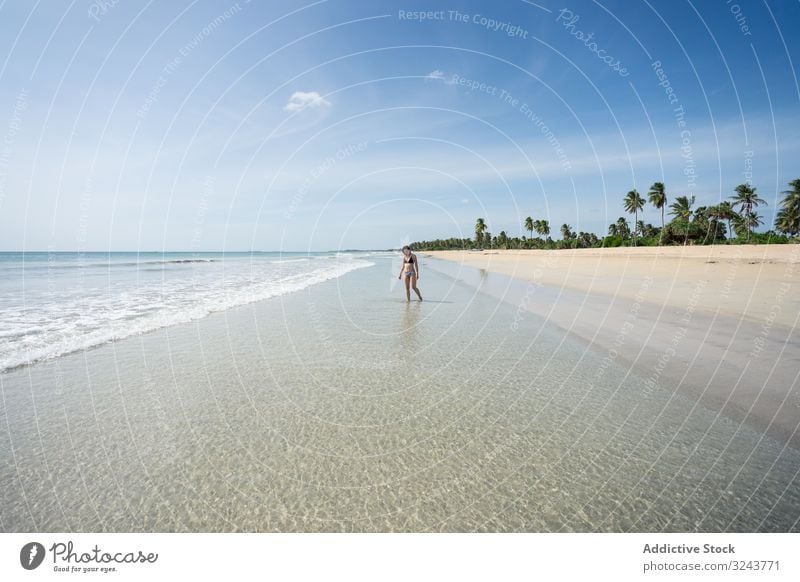 Young lady in water on sand beach with tropical forest Mirissa beach Sri Lanka island woman shore splashing cheerful young green attractive female nature fresh