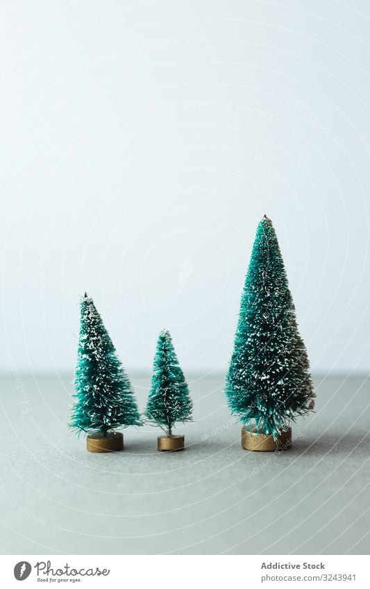 Small artificial Christmas trees on wooden stand christmas green holiday decoration composition celebration fluffy winter xmas row december festive