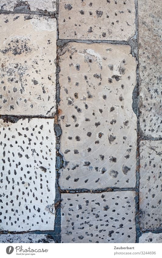 Paving stones in Zadar, Croatia Street Sidewalk Cobbled pathway Stone Going Looking Sharp-edged Historic Gray Disciplined Endurance Orderliness Arrangement