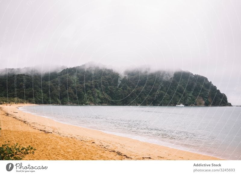 Sandy beach and green forest in Pancake Rocks lake nature landscape river blue beautiful travel coast shore summer cloud view colorful vacation tourism volcanic