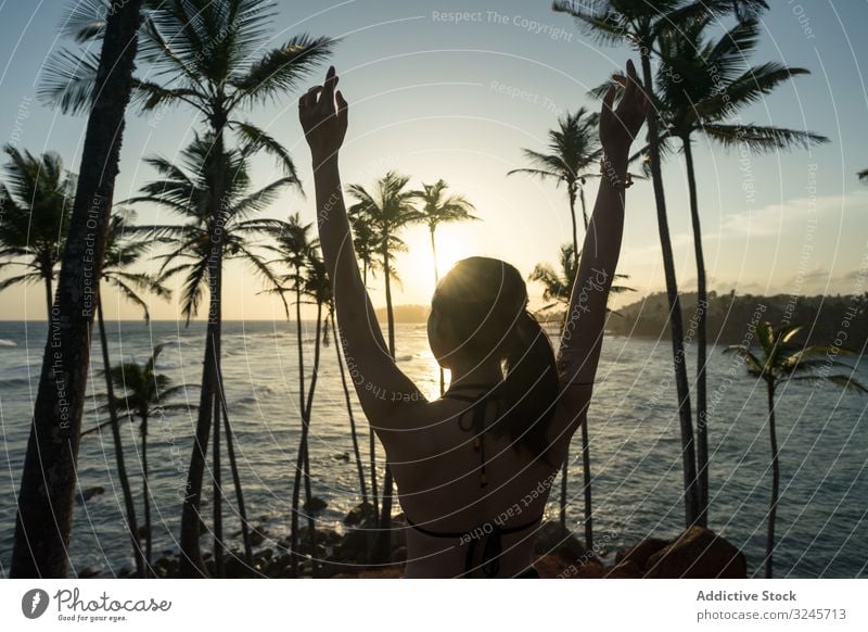 Tranquil female traveler among palms at seashore woman tourism summer vacation tree beach seaside ocean relaxation nature enjoy rest holiday lifestyle sunny