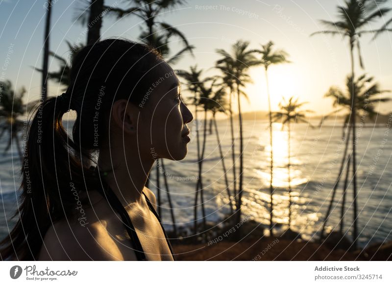 Tranquil female traveler among palms at seashore woman tourism summer vacation tree beach seaside ocean relaxation nature enjoy rest holiday lifestyle sunny