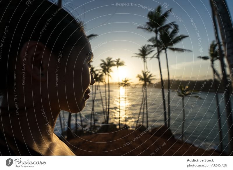 Tranquil female traveler among palms at seashore woman tourism summer vacation tree beach seaside ocean relaxation nature enjoy rest holiday lifestyle sunny