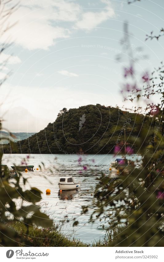 Moored boats on river against green forested hill in sunny summer day lake shore water environment wilderness freedom fresh calm solitude peace idyllic beach