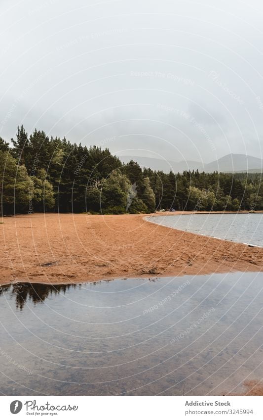 Lakeside with sandy beach and forest lakeside scotland water peaceful tranquil mountain highlands landscape scottish clear calm shore summer travel tourism