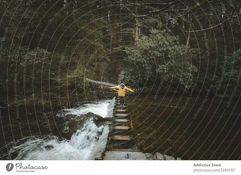 Man crossing river on stepping stones man forest footbridge ireland waterfall park tree male active walk newcastle tollymore bryansford balancing nature north