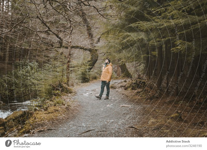 Tourist walking on footpath in forest park man bridge stone tollymore footbridge antique old ireland tree male bryansford newcastle active nature landscape