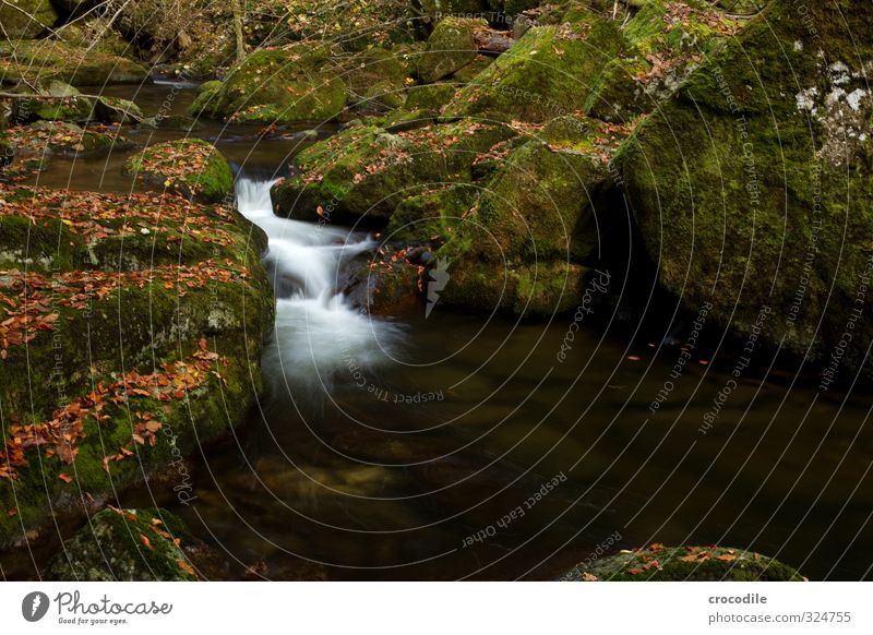 # 748 Brook Bavarian Forest Waterfall Long exposure Autumn Leaf Dark Moss Colour photo Calm Peaceful