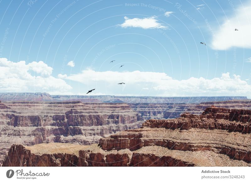 dry ground on rocky top of Grand Canyon nature mountain landscape hike travel summer female healthy tourist high adventure tourism active motion scenic