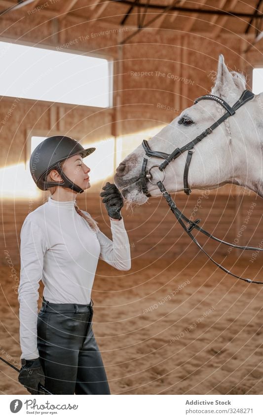 Rider with dapple gray horse in round arena horsewoman stallion pet animal care nature mammal bridle farm horseback equine kind equestrian muzzle purebred