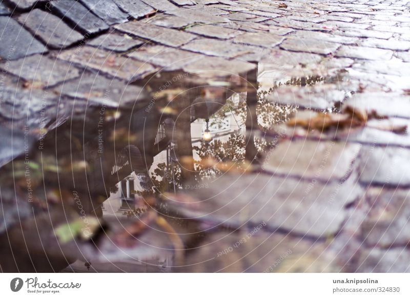 puddle Bad weather Rain Vienna Downtown Old town hundred water Transport Traffic infrastructure Road traffic Street Lanes & trails Broken Wet Town Cobblestones