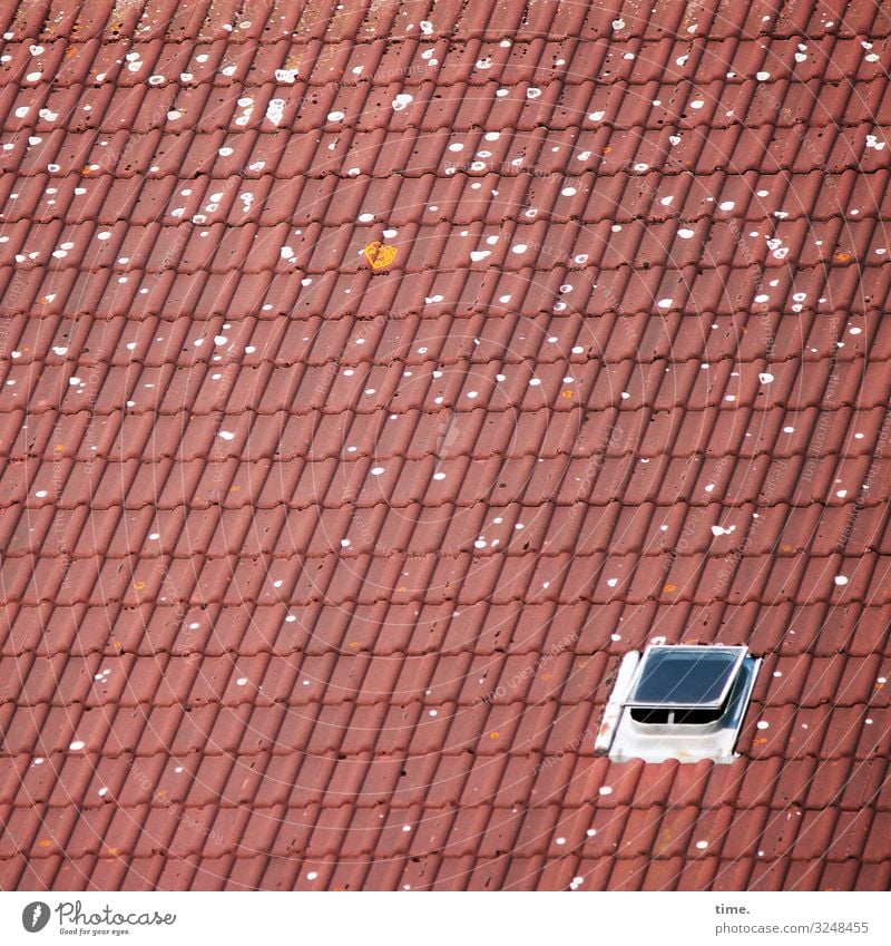 Air hole Roof Skylight Roof hatch Hatch blotch Roofing tile roof tiles sunny Airy fresh air Ventilate zinc Tone Glass Red Gray on one's own Patch of colour