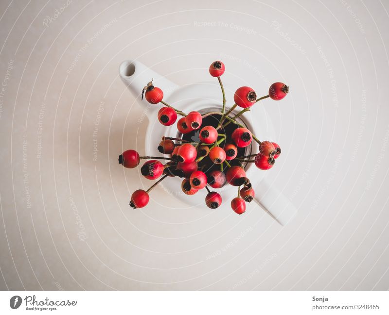 Fresh rose hips in a white teapot Rose hip Tea Breakfast Teapot Healthy Alternative medicine Healthy Eating Illness Life Harmonious Well-being To enjoy