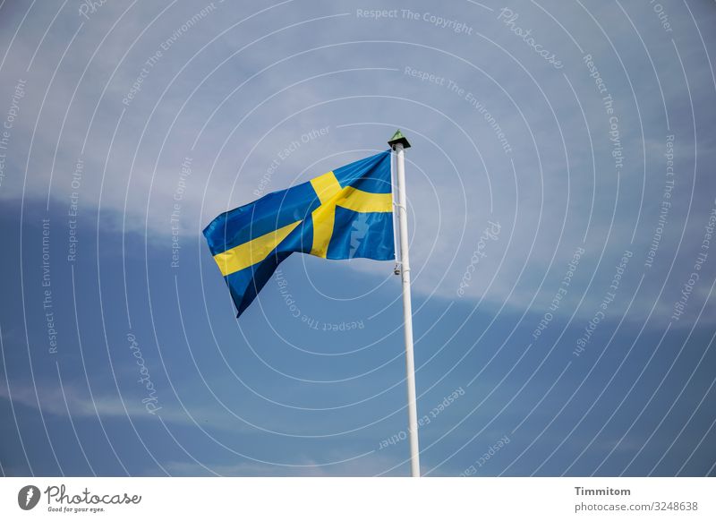 Swedish flag Vacation & Travel Tourism Sky Clouds Beautiful weather Flagpole Wood Line Simple Blue Yellow Black Emotions Blow Sweden Colour photo Exterior shot