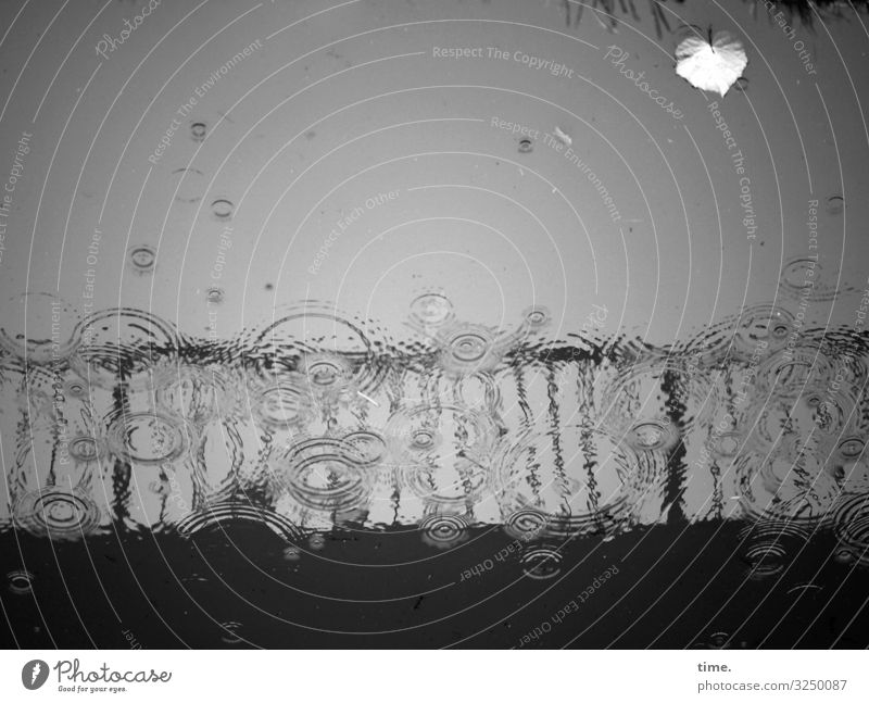 Autumn ahead (9) Water bridge Rain Gray flaked Wet Surface Drop circles Concentric hazy Unclear structure Pattern Silhouette Shadow weaker emotion sensation sad