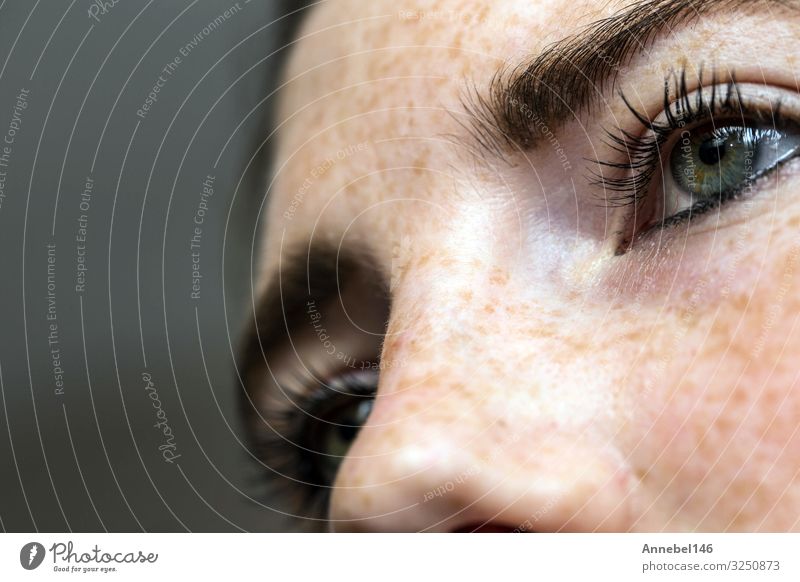 Eyes nose woman portrait with freckles close-up healthy skin Joy Happy Beautiful Skin Face Make-up Human being Woman Adults Lips Nature Fashion Brunette Smiling