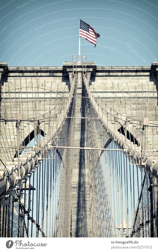 Suspended bridge climbing on the Brooklyn Bridge Vacation & Travel Tourism Sightseeing City trip Suspension bridge Steel cable New York City USA Downtown