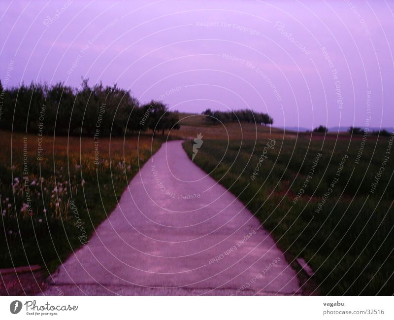 Away to the past Meadow Field Lanes & trails horizon Sky