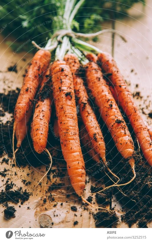 Bunch of carrots Vegetable Vegetarian diet Table Earth Fresh Green bunch Carrot Accumulation Crops Partially visible food healthy orange Raw Root Rustic tied