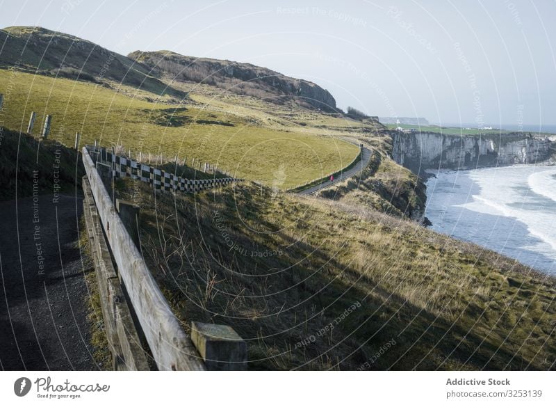 Person walking on country road between sea and field person traveler coastline rural green ocean northern ireland way path lane landscape sheep herd grass