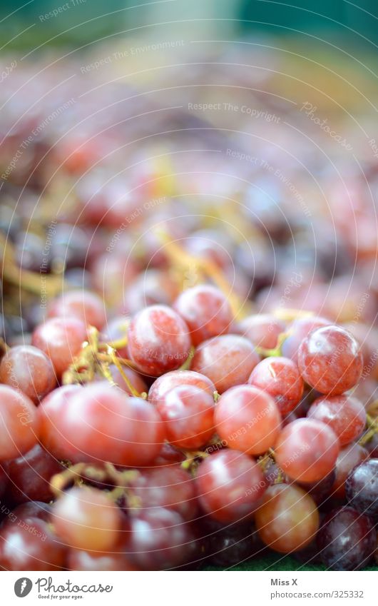 grapes Food Fruit Nutrition Organic produce Vegetarian diet Fresh Healthy Delicious Sweet Red red grapes Bunch of grapes Vine Farmer's market Harvest