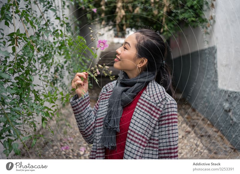 Young female in casual clothing touching green plants and smiling at rocked lane woman tourist travel walk city street path explore smile alley delight enjoy