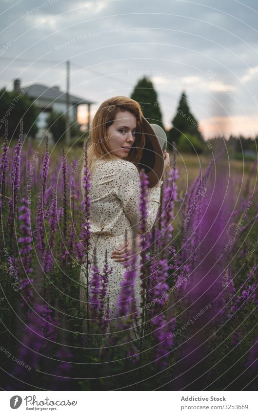 Romantic women in salvia field woman meadow enjoy sage flower blossom sensual romantic charming peaceful tender happy graceful harmony carefree rural village