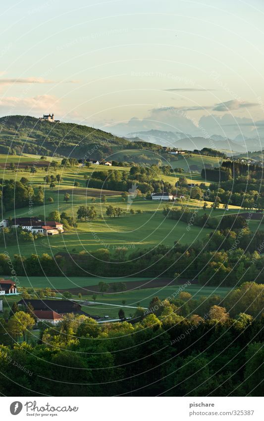 Home of the Mostbarone Landscape Beautiful weather Meadow Forest Hill Nature Mosaic Austria Colour photo Exterior shot Twilight Light Deep depth of field