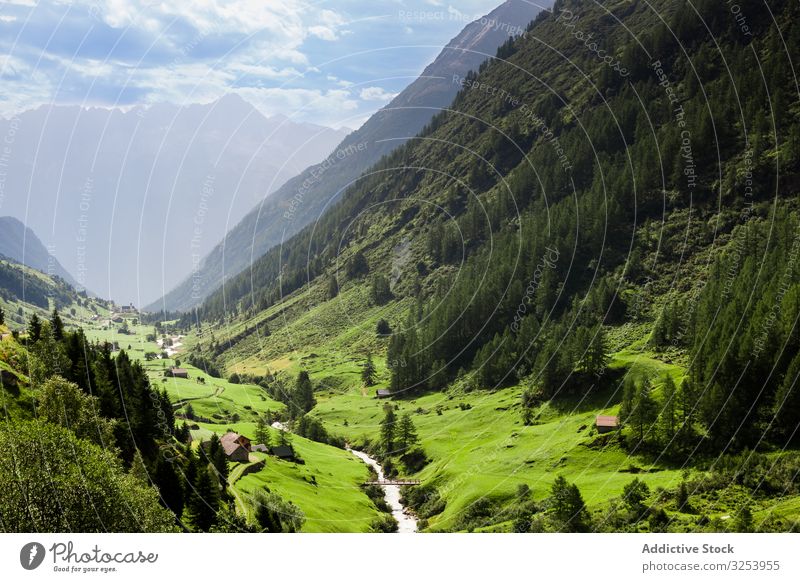 Picturesque idyllic mountain landscape in Switzerland picturesque meadow peak scenery alps switzerland green nature tourism rural summer grass amazing