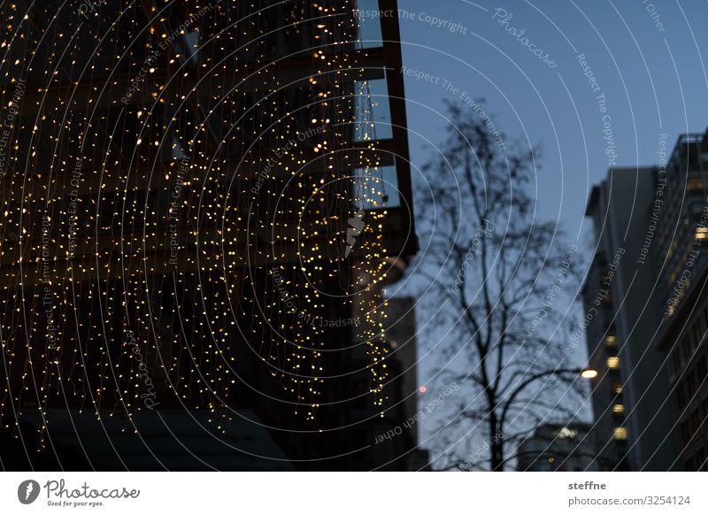 Christmas lighting in shopping street Downtown Pedestrian precinct Facade Anticipation Safety (feeling of) Together Romance Fairy lights Christmas & Advent