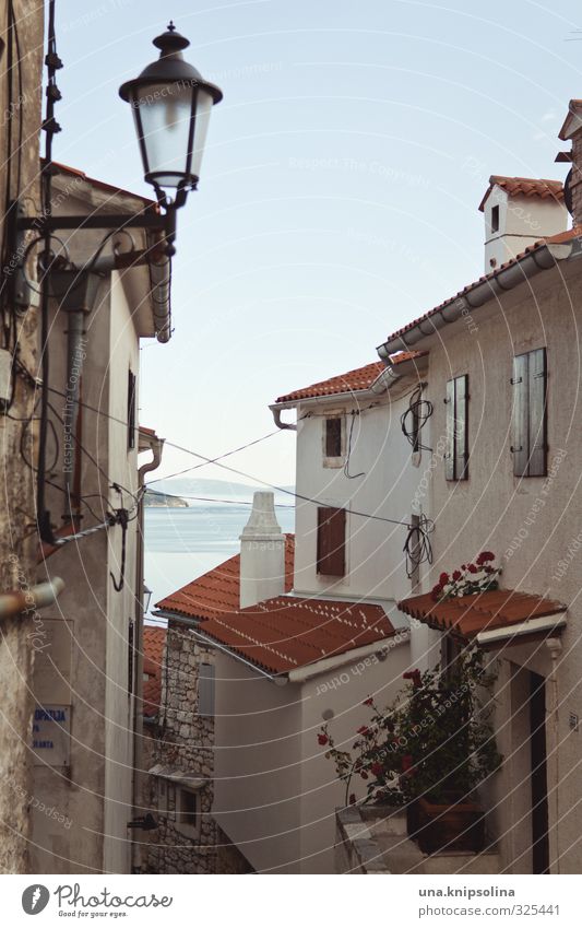 in the streets of brsec Ocean Brsec Croatia Istria Village Fishing village House (Residential Structure) Wall (barrier) Wall (building) Lanes & trails Alley