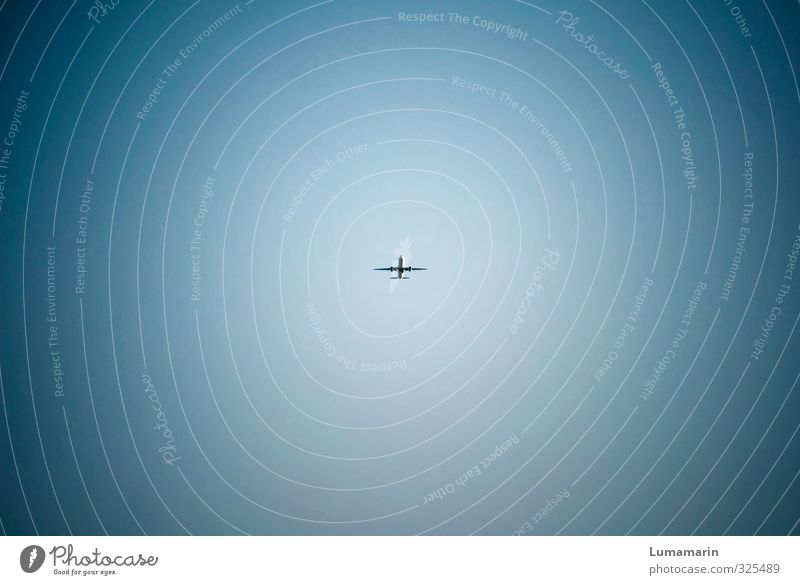 airborne particles Vacation & Travel Tourism Far-off places Summer Summer vacation Cloudless sky Beautiful weather Transport Means of transport Aviation